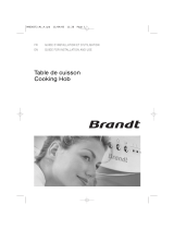 Brandt TE541WF1 Owner's manual