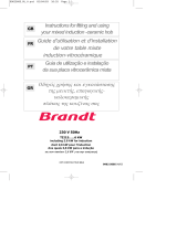 Brandt TI215BS1 Owner's manual