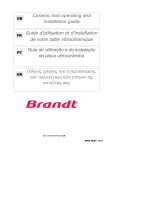 Brandt TV321BT1 Owner's manual