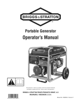 Briggs & Stratton 316916GS Owner's manual