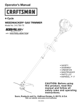 Craftsman 316796170 Owner's manual
