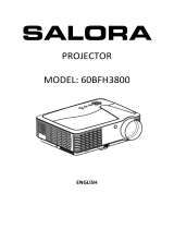 Salora 60BFH3800 Owner's manual