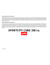 APRILIA SPORTCITY CUBE 250 I.E User manual