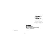 Haier 29T9B-P Operating Instructions Manual