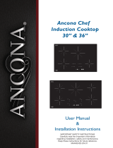 Ancona AN-2412 User manual