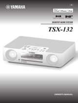 Yamaha TSX-10 Owner's manual