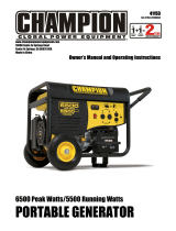 Champion Power Equipment41153