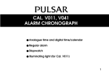 Pulsar V041 User manual