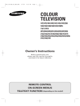 Samsung CS-20V5Z User manual