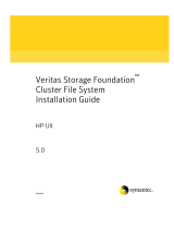 Symantec Veritas Storage Foundation HP-UX User manual