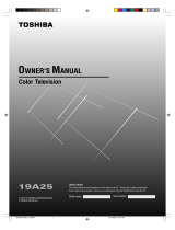 Toshiba 19A25 User manual