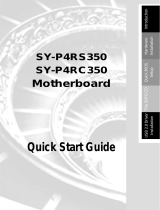 SOYO SY-P4RC350 User manual