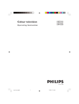 Philips 21PT3324 21" real flat TV User manual