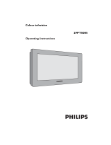 Philips 29PT5005 29" real flat TV User manual