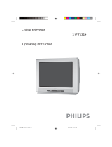 Philips 21PT2324 21" real flat TV User manual