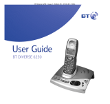 BT DIVERSE 6250 User manual