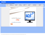 Philips 17S1SB/00 User manual