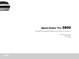 Epson PRO 3800 Specification