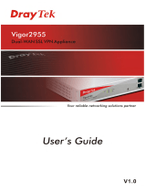 Draytek Vigor 2955 User manual