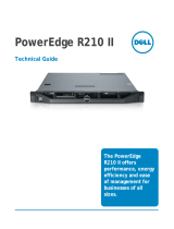 Dell POWEREDGE (PERC) S100 Specification