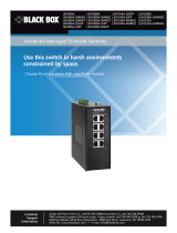 Black Box LEH906A-2SFP User manual