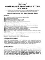 Technaxx MusicMan MAXI BT-X10 User manual