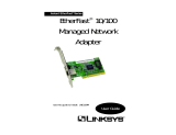 Linksys LNE100M User guide