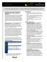 Symantec E130498 Datasheet