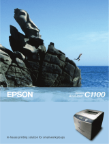 Epson C1100N - AcuLaser Color Laser Printer Datasheet