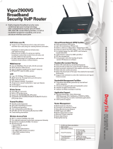 Draytek V2900VG Datasheet