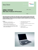 Fujitsu LKN:BEL-176100-004 Datasheet