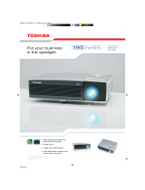 Toshiba 01TDPTW95 Datasheet