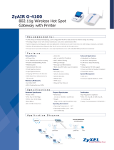 ZyXEL Communications G-4100 User manual