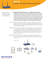 Netgear WAG102 - ProSafe Dual Band Wireless Access Point Datasheet