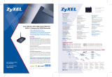 ZyXEL 91-004-594001B Datasheet