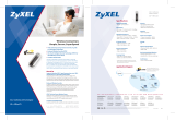 ZyXEL 91-005-114001 Datasheet