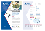 ZyXEL 91-005-125001B Datasheet