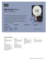 Western Digital Caviar Blue 250GB User manual