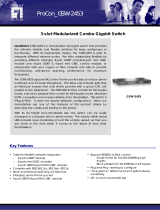 LevelOne GSW-2453 Datasheet