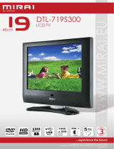 Chimei DTL-719S300 Datasheet