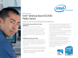 Intel BLKDG45ID-10PACK Datasheet