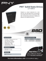 PNY P-SSD2S128GM-RB Datasheet