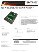 Patriot Memory PTX128GS25SSDR Datasheet