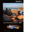 Sony 3DPW60DSR2H User manual