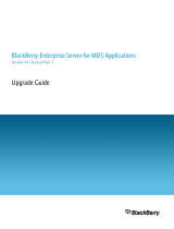 Blackberry Enterprise Server 4.1 for MDS Applications, 1u User manual