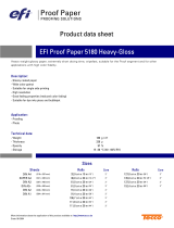 EFI 6067999999 Datasheet