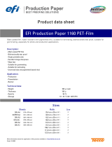 EFI 6711999999 Datasheet