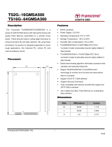 Transcend TS64GMSA300 Datasheet