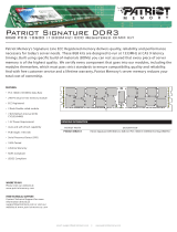 Patriot Memory PS38G13ER2K-E Datasheet