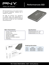 PNY PSSD2S120GMBX Datasheet